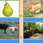 Ghép Tranh 1.0: Trò Chơi Học Tiếng Việt Vui Nhộn