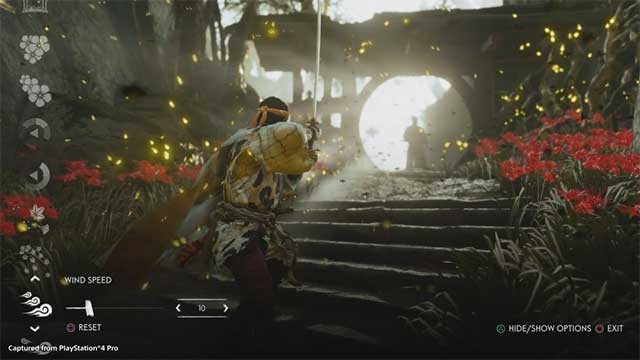 Khám phá vẻ đẹp của hòn đảo Tsushima