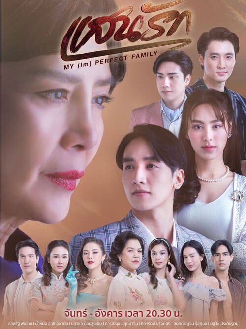 Poster phim Gia đình (không) hoàn hảo của tôi