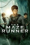 Giải mã Mê Cung The Maze Runner (2014) - Phân tích và Đánh giá