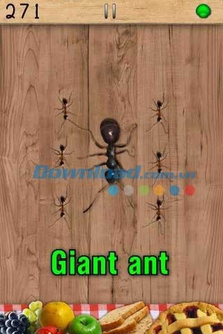 Giết kiến cho Android