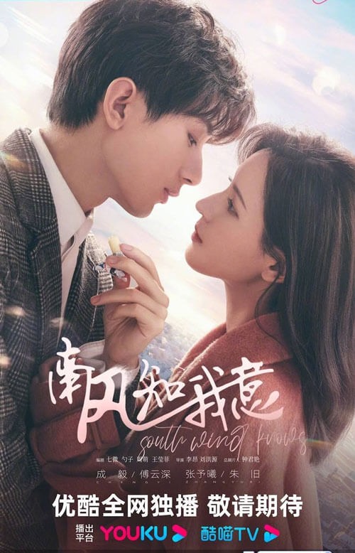 Poster phim Gió Nam Hiểu Lòng Tôi