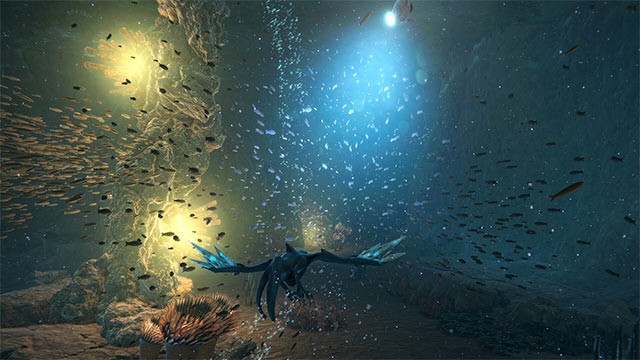 Cùng Tuai thám hiểm đại dương với đồ họa 4K đỉnh cao