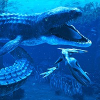 Glaciered Game: Đại Chiến Biển Cả Đồ Họa 4K