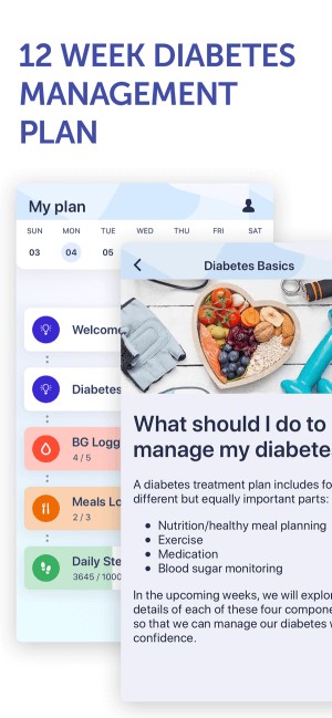 Lập kế hoạch quản lý lượng đường trong máu 12 tuần