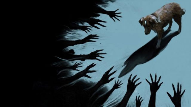 Poster phim kinh dị siêu nhiên Good Boy - Chó cưng đừng sợ