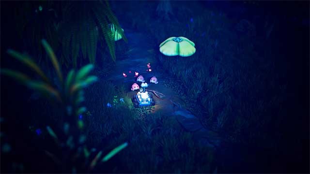 Sử dụng nhiều loại công cụ để bắt những sinh vật kỳ lạ