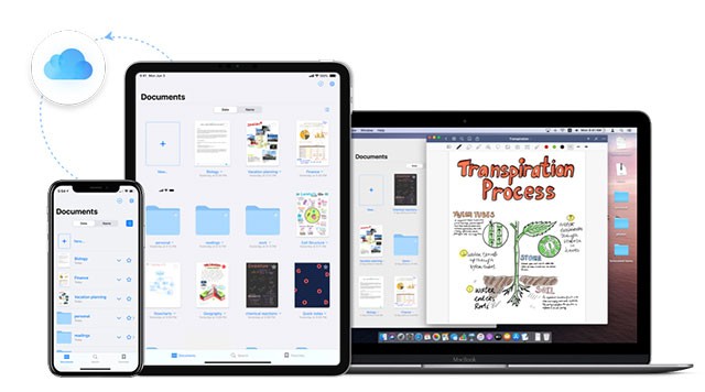 Goodnotes 6 là app ghi chú đa năng cho Mac, iPhone và iPad