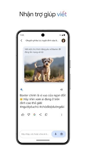 Hỗ trợ viết lách và thực hiện nhiều công việc khác