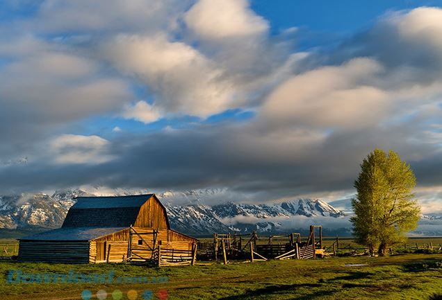 Áp dụng thay đổi cho các vùng chính xác