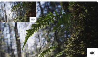 Google không làm giảm chất lượng file