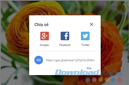 Các tùy chọn chia sẻ ảnh, video của Google Photos trên web