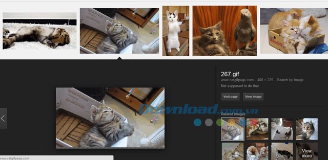 Phóng to để xem ảnh động