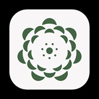 GPT4All: Chatbot AI cục bộ, miễn phí và bảo mật