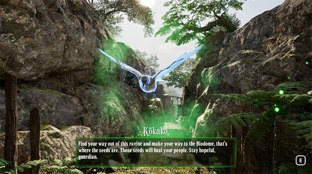 Tận dụng khả năng trò chuyện với các loài chim để cùng nhau chinh phục hành trình dài