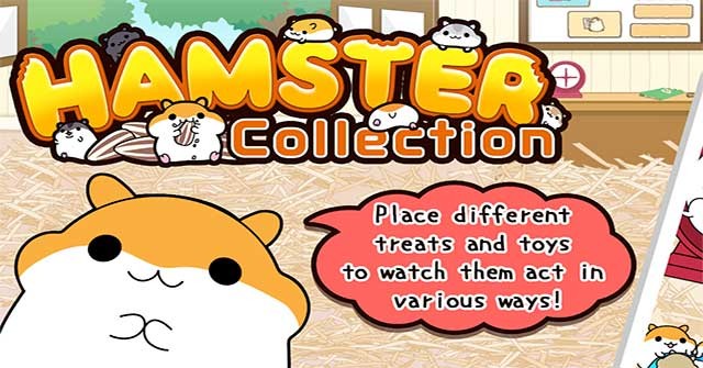 Hamster Collection là game nuôi chuột Hamster cực đáng yêu trên Android