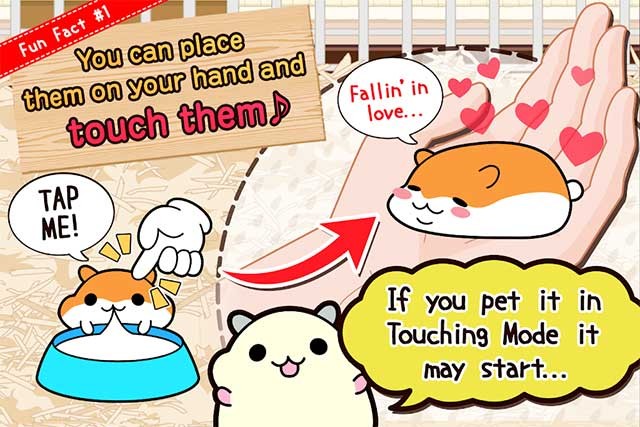 Bạn có thể đặt chuột trên lòng bàn tay và vỗ đầu chúng