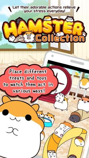 Thu thập và chăm sóc chuột lang trong game Hamster Collection