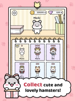 Thu thập những con chuột lang đáng yêu khác