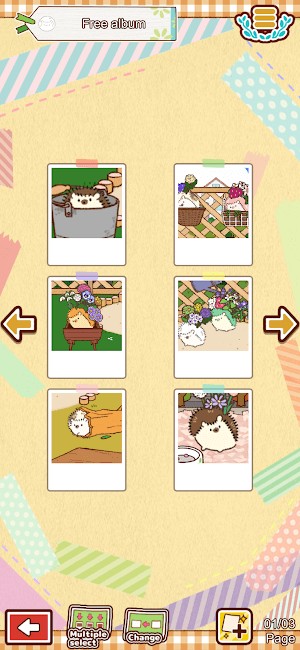 Tạo album đáng yêu của bạn với những chú nhím