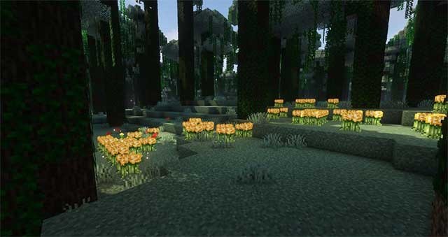 Khám phá một ngôi làng nơi rồng và các loài động vật huyền thoại khác sinh sống