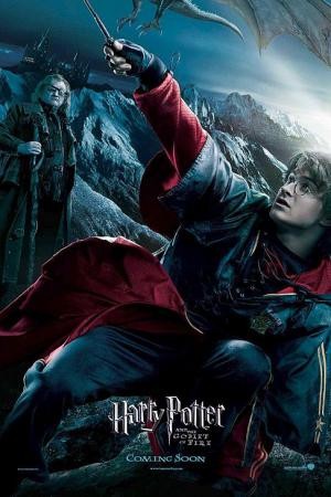 mini Harry Potter and the Goblet of Fire 7