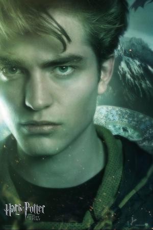 mini Harry Potter and the Goblet of Fire 19