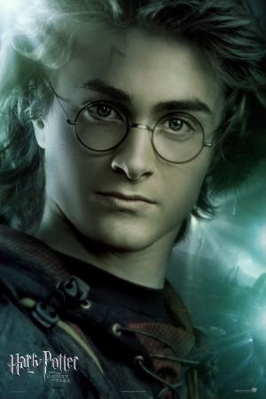 mini Harry Potter and the Goblet of Fire 16