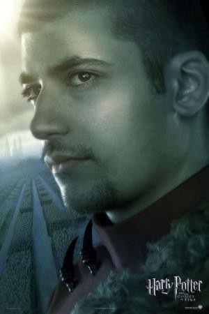 mini Harry Potter and the Goblet of Fire 20