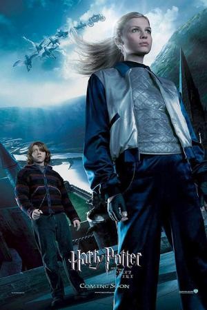 mini Harry Potter and the Goblet of Fire 9