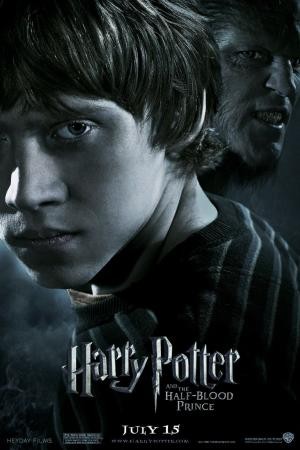 mini Harry Potter and the Half Blood Prince 17