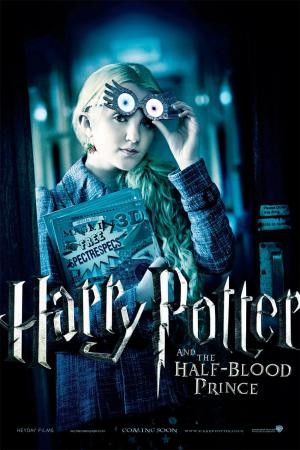 mini Harry Potter and the Half Blood Prince 23