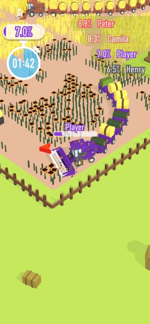 Chơi cùng nhiều người khác trên cánh đồng