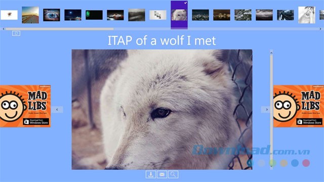 Hình nền chất lượng cao