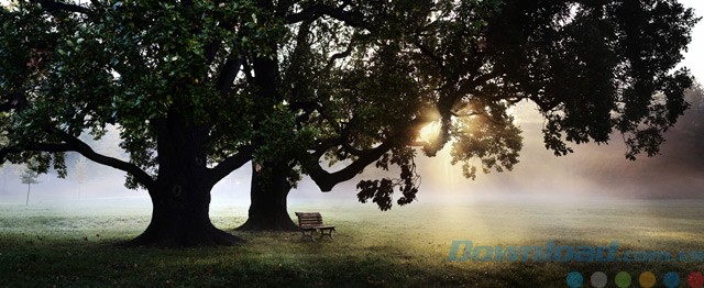 Hình ảnh trước chỉnh sửa