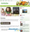 HealthyBlog - Medical & Health Theme Template