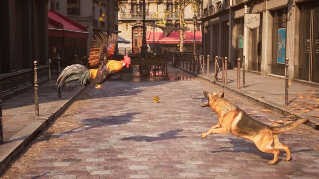 Chống lại đám động vật phá hoại khiến vụ cướp trở nên hỗn loạn