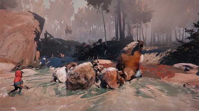 Đi qua những ngọn núi tuyệt đẹp, khu rừng phủ sương mù, cao nguyên tuyết trắng,...