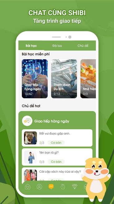 Chat cùng Shibi