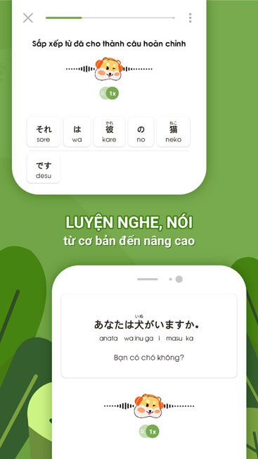 Luyện nghe, nói từ cơ bản đến nâng cao