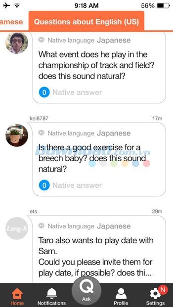 Đặt câu hỏi về ngôn ngữ, văn hóa