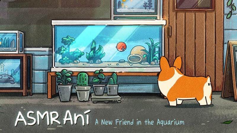 Doggie-Corgi-Wallpapers-16