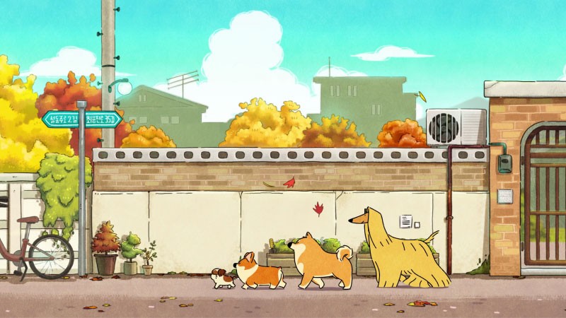 Doggie-Corgi-Wallpapers-22