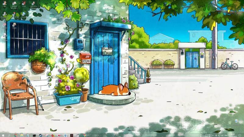 Doggie-Corgi-Wallpapers-8