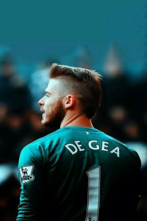 hinh nen manchester cho dien thoai 34