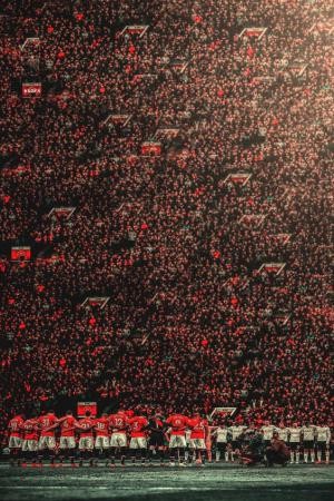 hinh nen manchester cho dien thoai 4