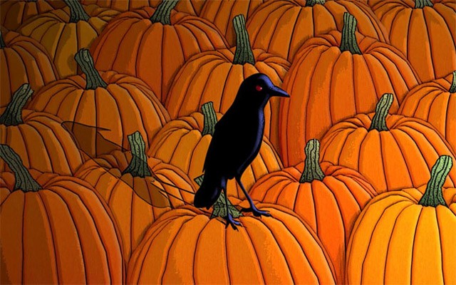 Chú quạ đen và những quả bí ngô