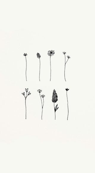 Hinh Nen Trang 2*234034