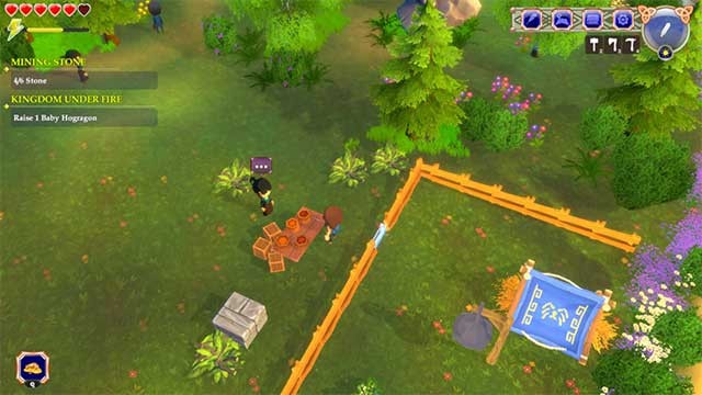 Kinh doanh trang trại nuôi lợn ở quê hương