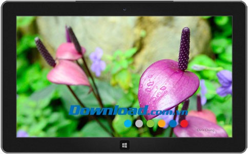 Hong Kong park theme